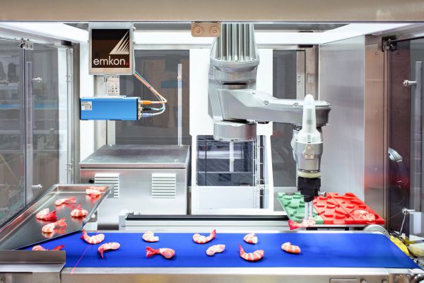 Der Standard Fast Picker von emkon.: Scara Roboterzelle für Ihre Food- und Pharmaprodukte